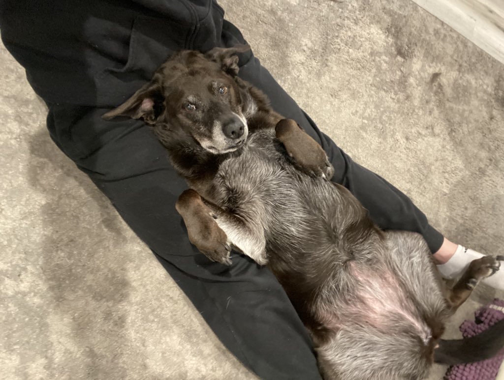 11 years with the light of my life. Happy 11th birthday to my sweet Navi girl. 🥹🩷