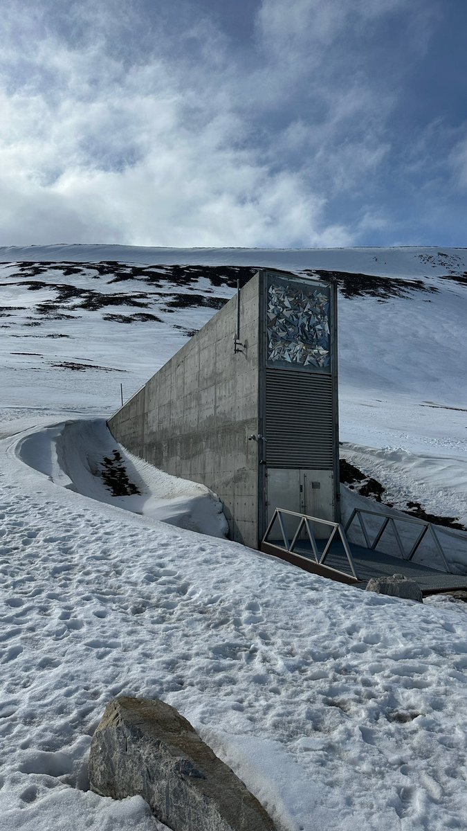 Thomas Pesquet (@thom_astro) on Twitter photo 🌍❄️ Dernier souvenir du froid, avant de repasser à des posts plus estivaux : le Svalbard <a href="/GlobalSeedVault/">Svalbard Seed Vault</a> 🌱🔒
À deux pas de Longyearbyen, la ville la plus au Nord du monde, enfoui dans le pergélisol arctique, se trouve l’un des plans B les plus précieux de l’humanité : la 🌍❄️ Dernier souvenir du froid, avant de repasser à des posts plus estivaux : le Svalbard <a href="/GlobalSeedVault/">Svalbard Seed Vault</a> 🌱🔒
À deux pas de Longyearbyen, la ville la plus au Nord du monde, enfoui dans le pergélisol arctique, se trouve l’un des plans B les plus précieux de l’humanité : la