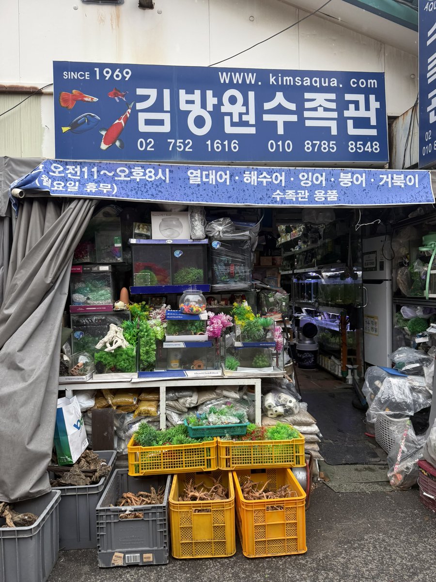 schgirlbyebye's tweet image. 