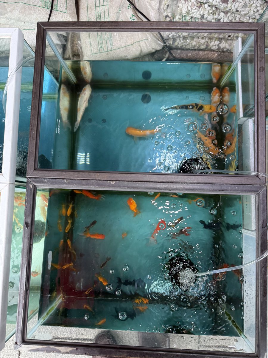 schgirlbyebye's tweet image. 