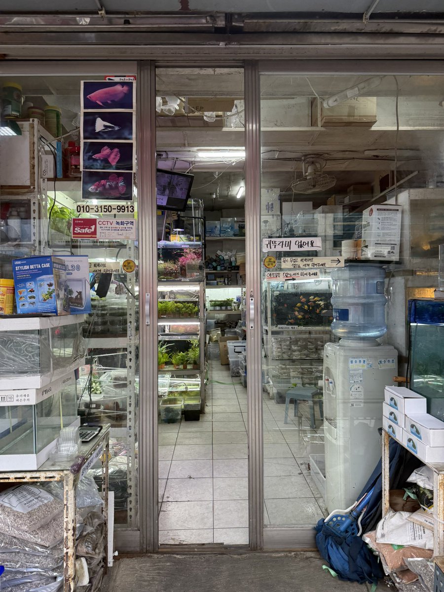 schgirlbyebye's tweet image. 