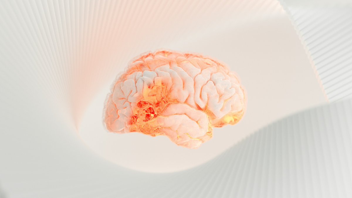 King's Commercial (@kchmanagement) on Twitter photo *TBI Study Day — Delivered by <a href="/KingsCollegeNHS/">King's College NHS</a>*
Date: 26th to 27th November 2025
Location: Fetal Medicine Institute, Denmark Hill
Time: 9:00hrs to 17:00hrs
Full info and sign up:
eventbrite.co.uk/e/traumatic-br… *TBI Study Day — Delivered by <a href="/KingsCollegeNHS/">King's College NHS</a>*
Date: 26th to 27th November 2025
Location: Fetal Medicine Institute, Denmark Hill
Time: 9:00hrs to 17:00hrs
Full info and sign up:
eventbrite.co.uk/e/traumatic-br…