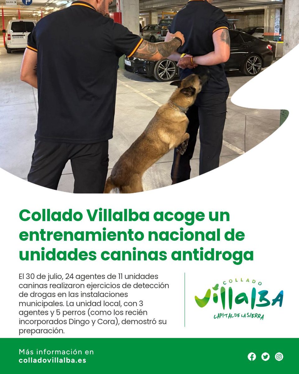 Ayuntamiento de Collado Villalba (@ayuntamientocv) on Twitter photo 🐾🚔 ¡Unidades caninas de toda España entrenan en Collado Villalba!
11 equipos, 24 agentes y sus perros practicaron detección de estupefacientes en nuestro municipio.
👏 ¡Enhorabuena a nuestra unidad local (Dingo y Cora incluidos)!
#ColladoVillalba #Seguridad 🐾🚔 ¡Unidades caninas de toda España entrenan en Collado Villalba!
11 equipos, 24 agentes y sus perros practicaron detección de estupefacientes en nuestro municipio.
👏 ¡Enhorabuena a nuestra unidad local (Dingo y Cora incluidos)!
#ColladoVillalba #Seguridad