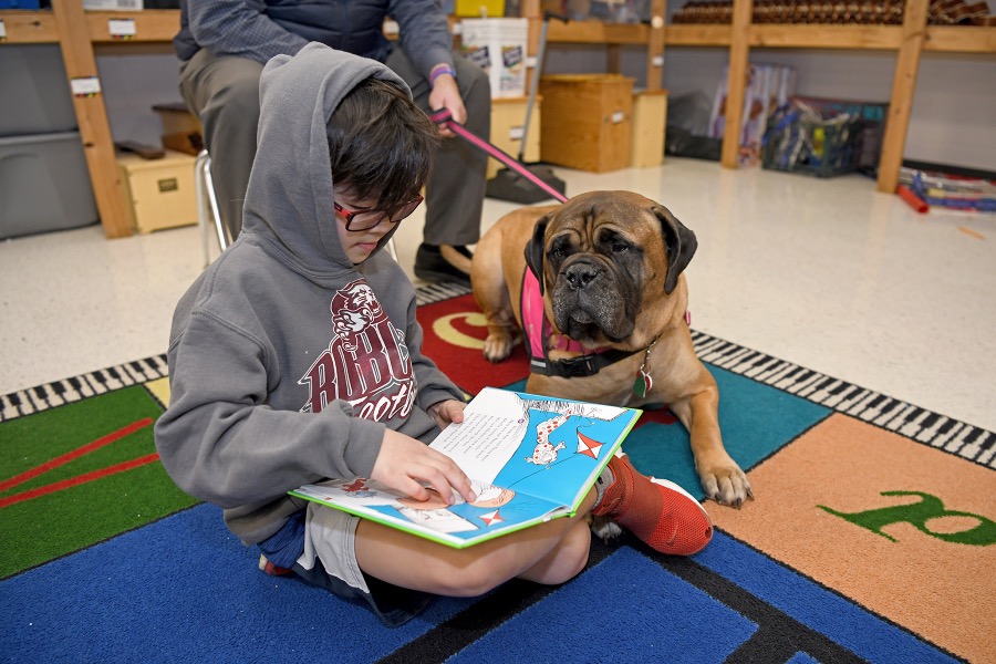 KyDeptofEd's tweet image. KDE's Early Literacy Director Christie Biggerstaff has been helping implement the Read to Succeed Act to address reading scores in Kentucky. In Boone County, the state’s third-largest district, the changes have been stark. 

Read more in Kentucky Living: bit.ly/KentuckyLiving…