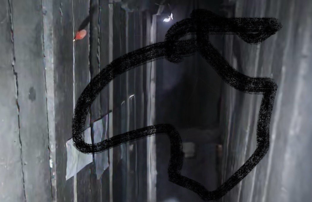 Any chance <a href="/nytimes/">The New York Times</a> will publish on the front page tomorrow the picture of the Israeli hostage Evyatar David who is deliberately starved by Hamas? 
Will they?