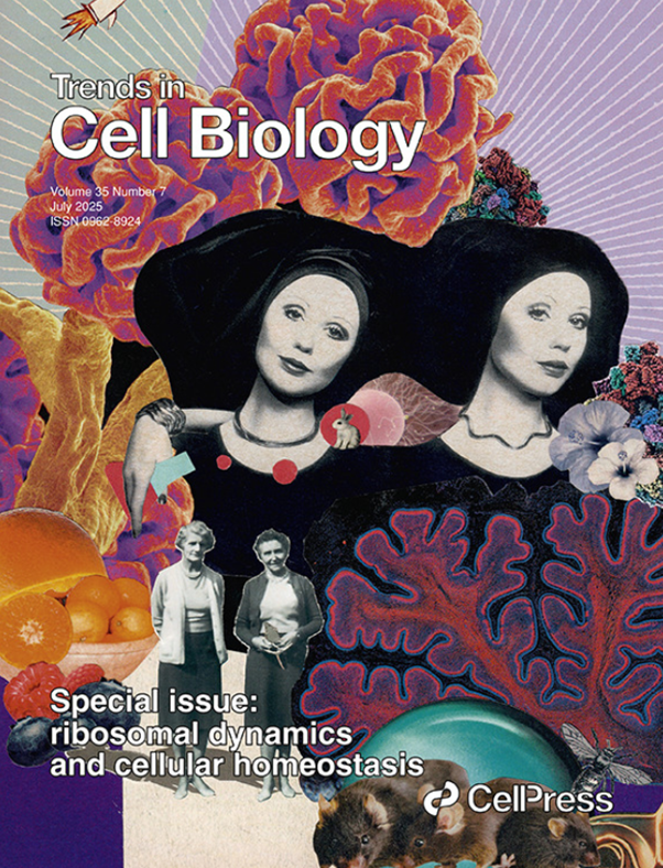 Celebrating 35 years of Trends in Cell Biology!
Explore our special anniversary issue spotlighting ribosomal dynamics and cellular homeostasis.
Dive into the latest insights: hubs.li/Q03zZw3B0