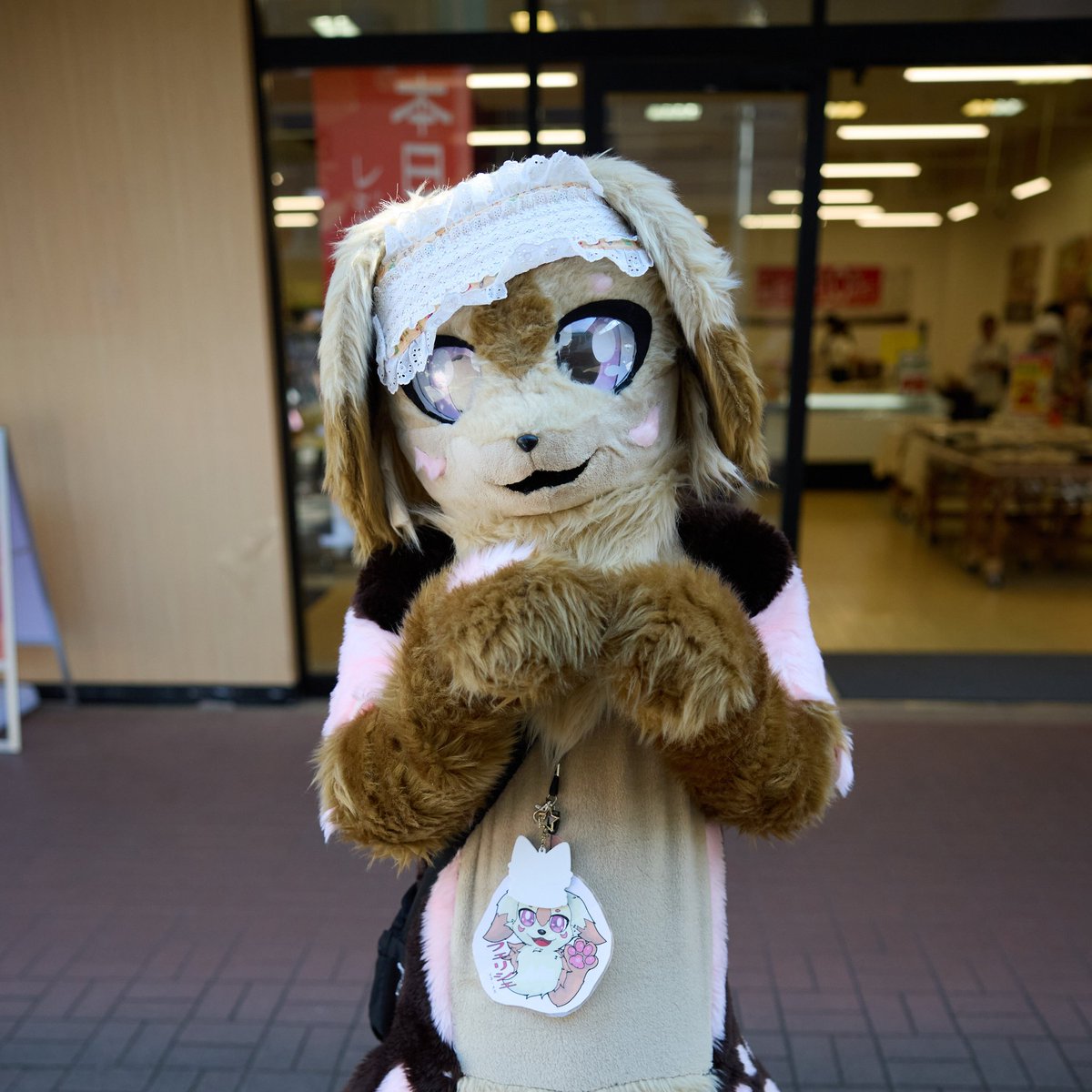 miju_fele's tweet photo. フェリシエ「元気な犬の女の子のフェリシエと」
ルキノ「ルキノだよ」
二人「みんなよろしくね＆な!!!」 https://t.co/ldsyD8PURW