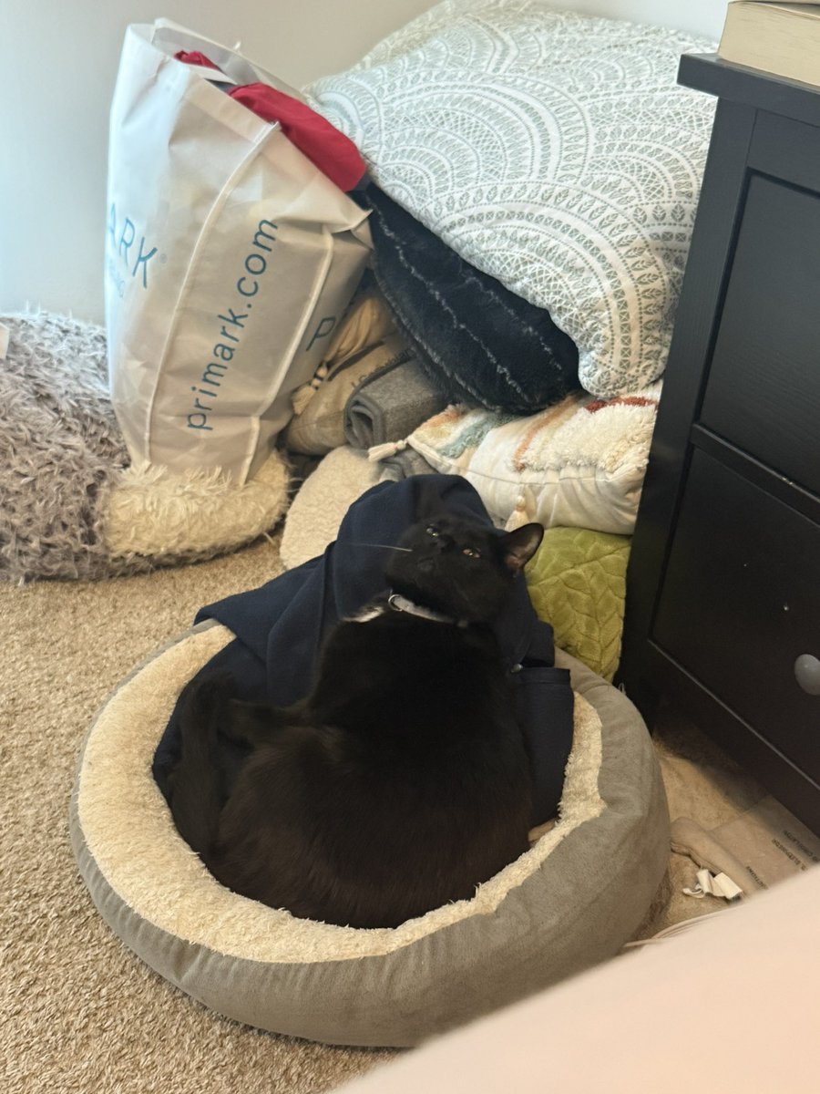 so smug