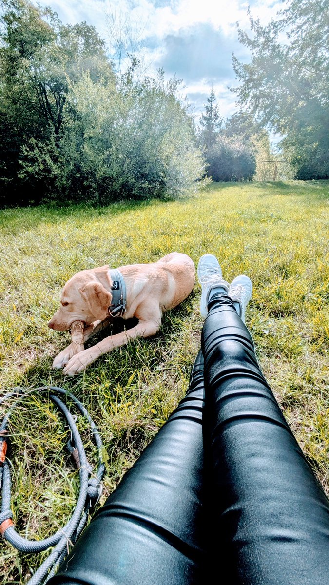 Mein #FrivolerFreitag schaut heute so aus, vollkommen ohne jegliche Verpflichtungen und alles andere.
Nur Fellbutze, der genüsslich am Kaffeeholz nagt und mehr nicht 🐶
Manchmal braucht der Kopf einfach mal eine Pause von allem.

Gebe zu, mir fehlt auch jegliche Motivation um