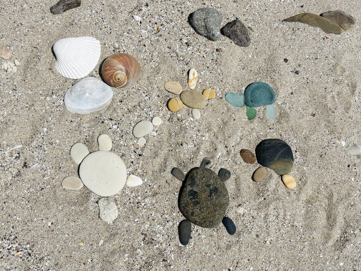 따라해본 🐢 고운 돌이 많았어요 @ 환호해변