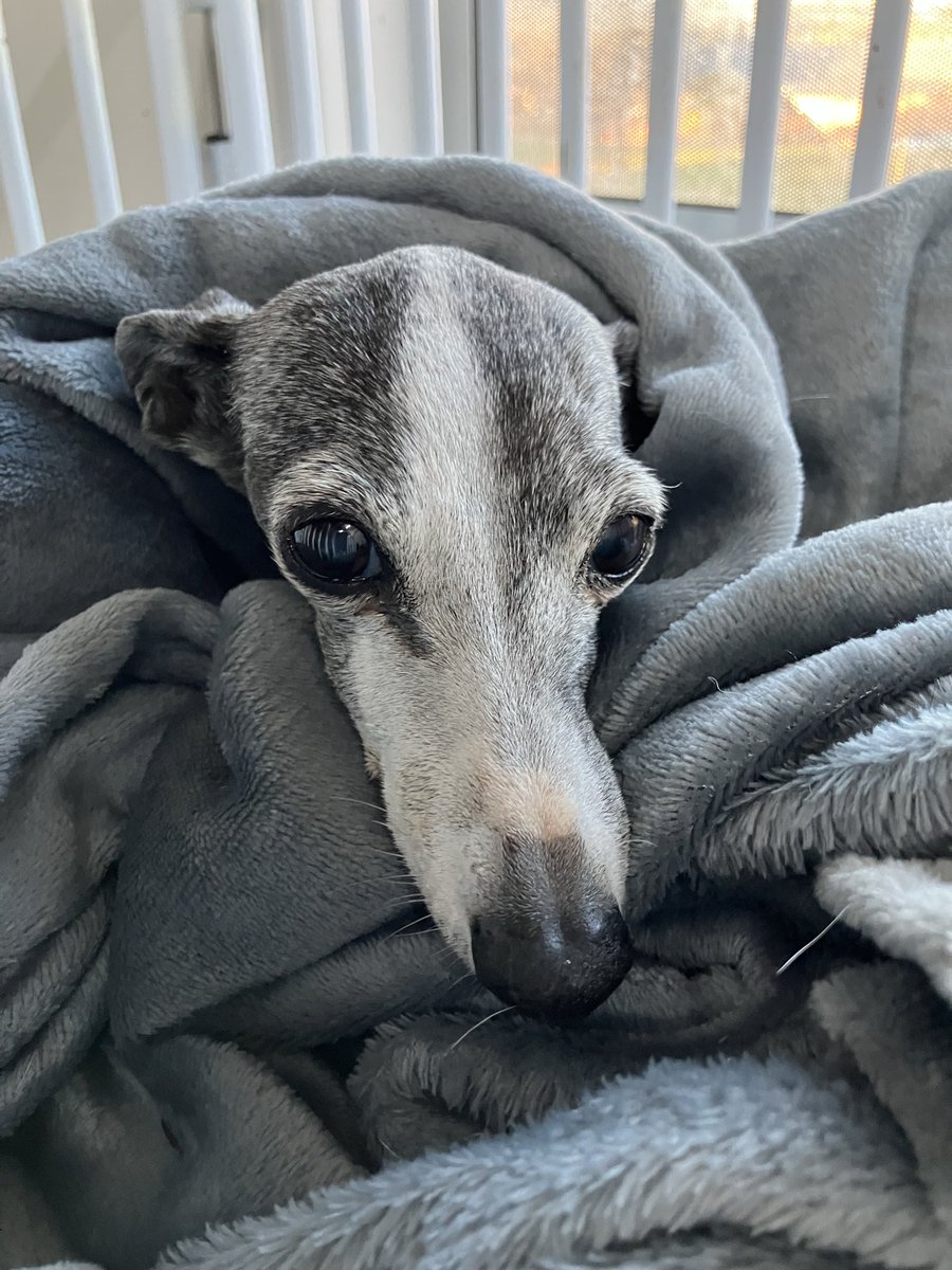 J’s world 🐾🐾🌿 tweet media