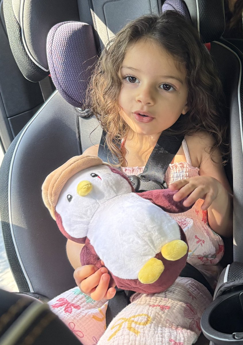 Lando93x's tweet photo. Look what we found at great grandma’s house! @pudgypenguins 

Just said she was at Walmart, thought they were cute and that the kids would like them.
Mentioned she got the last two. 

Passed the grandma test 👵🏼👍🏼
@LucaNetz keep it up. 
It’s working! 👏🏾 https://t.co/hhawYHYJhj