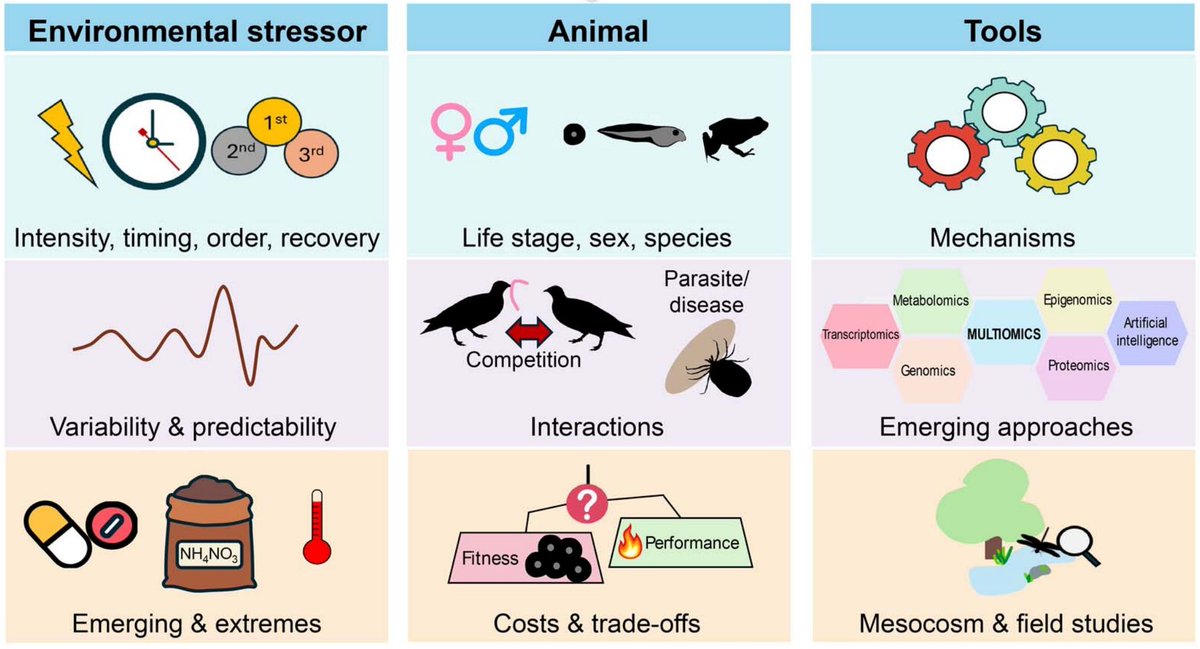 In the #Anthropocene, species face multiple, severe stressors which may be anticipated to interact in harmful ways.

This #Perspective explores a more hopeful alternative: that stressors interact in a cross-protective manner. 

Learn more ➡️ doi.org/10.1093/conphy… 
🐸 🐦‍⬛ 🐝