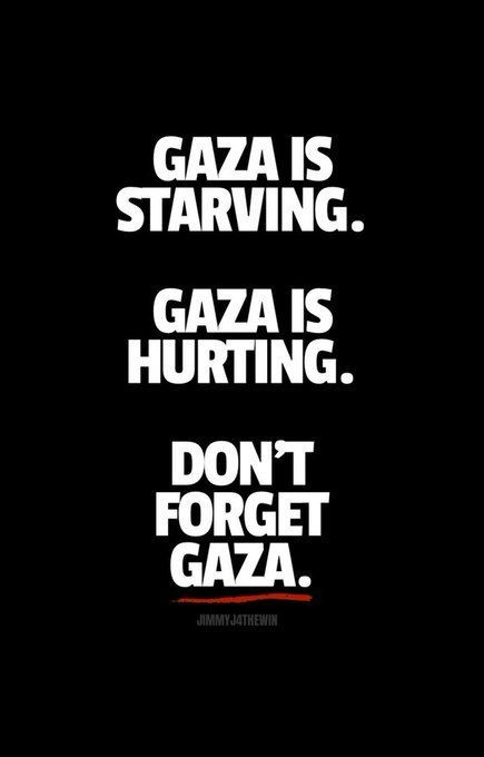 Be their voice and talk about Gaza and Palestine.