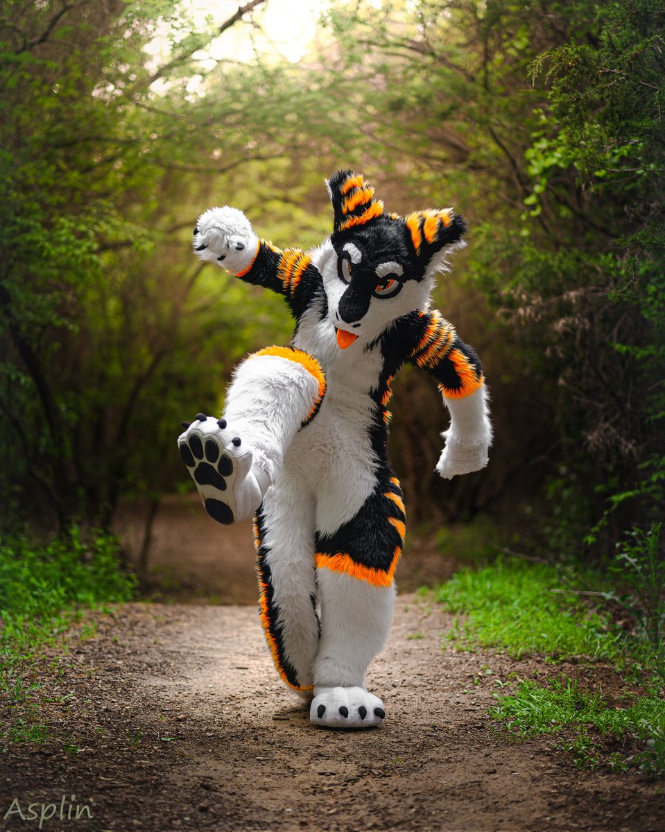 Watch out for the Forest Monster!! :&gt;
#FursuitFriday #furry #fursuit 
📷 <a href="/asplinduh/">Asplin</a>