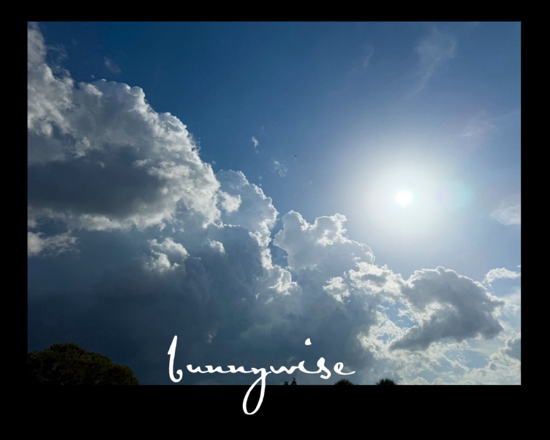 ☀️

                  ahhhh .. sunshine 

    home after a HAWT 3 miles 🔥 
      some shopping 🫐
         some gardening in the backyard 🌻

            yes, it's about to rain again 

     and as I'm watching the squirrels and admiring the darkening skies .. I am, of course ..