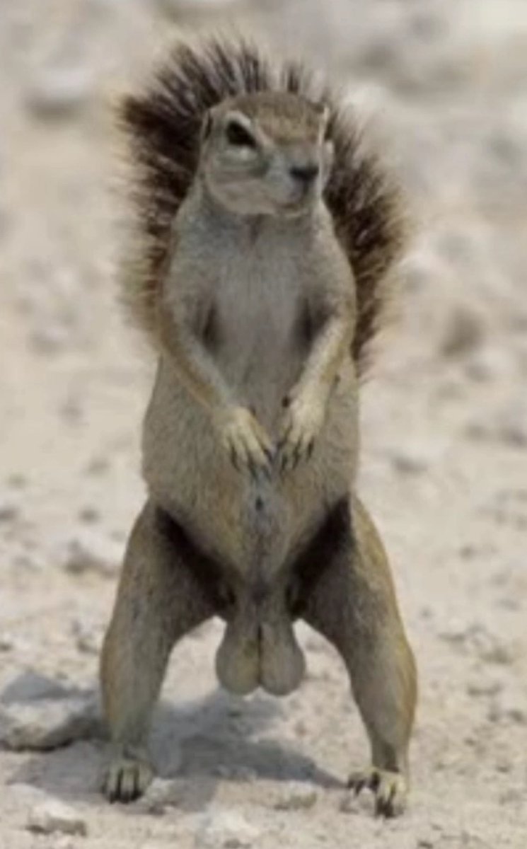 Some what frequent boy (@weeklycreeps) on Twitter photo 