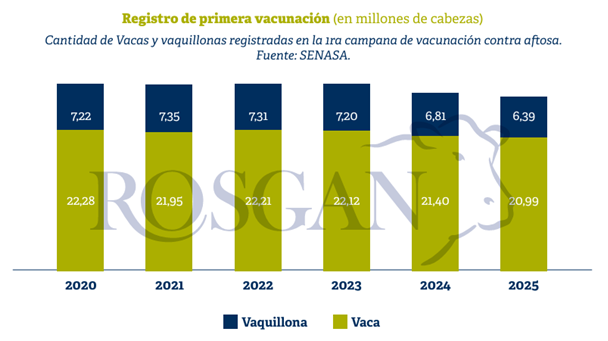 Los números de la vacunación contra la fiebre aftosa confirman una nueva caída en el stock ganadero, aunque con un dato adicional: la pérdida sistemática del número de vientres.

bcr.com.ar/es/mercados/in…