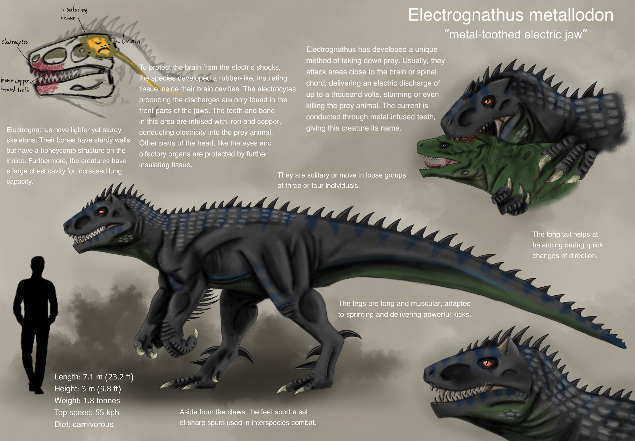 General Gojira ✨🧸♔❄💜 (@GeneralGojira) / X