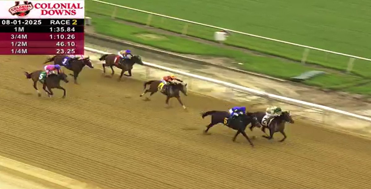 Summer Wind Farm tweet media