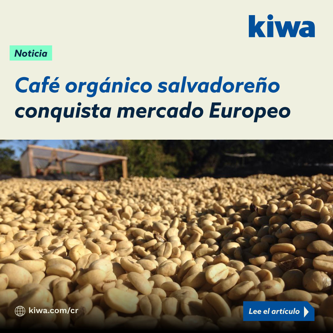 #kiwaElSalvador
🌱De intermediarios locales a mercados europeos ☕✈️
AGASACARE (Chalatenango) logró su primera exportación de café orgánico a Alemania tras 6 años de transición. 

Lee la noticia completa: tinyurl.com/4tpesh9j

#CaféOrgánico #CertificaciónOrgánica #KiwaLatAm