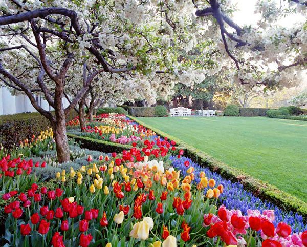 Peter (@_e_tto_) on Twitter photo <a href="/WUTangKids/">Wu Tang is for the Children</a> The White House Rose Garden was once a vibrant haven—lush grass, blooming roses, and life teeming under Kennedy's vision. Now, it echoes Trump: a cold concrete slab, stripping away 60 years of beauty for a Mar-a-Lago vibe. <a href="/WUTangKids/">Wu Tang is for the Children</a> The White House Rose Garden was once a vibrant haven—lush grass, blooming roses, and life teeming under Kennedy's vision. Now, it echoes Trump: a cold concrete slab, stripping away 60 years of beauty for a Mar-a-Lago vibe.