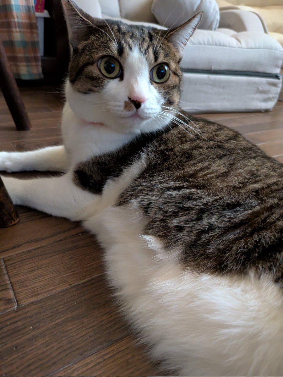 1×8いこうよ！ 22 09 25 - Search / X