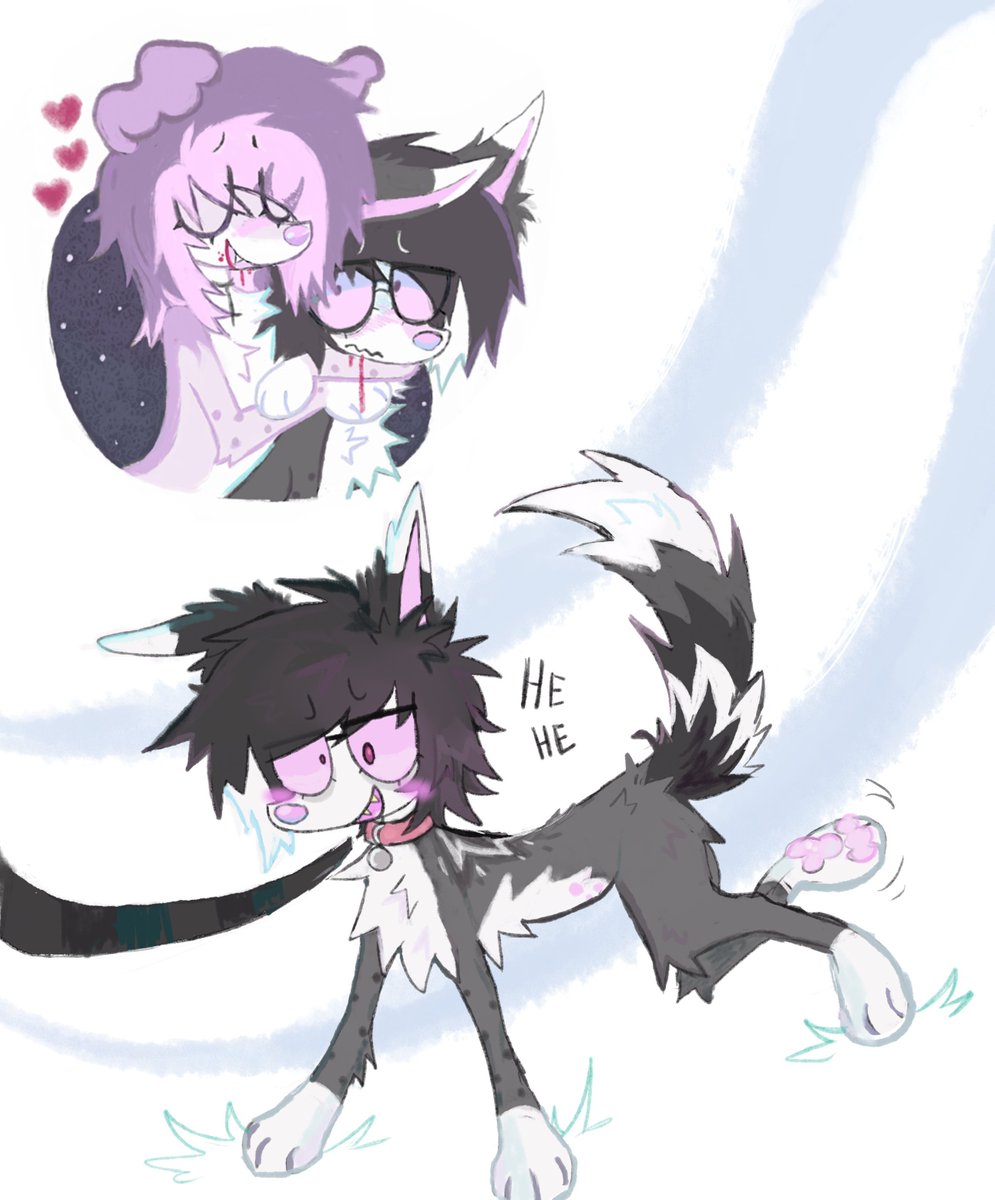 candyhearse's tweet photo. my sweet pet <3 https://t.co/8dFixu1vpo