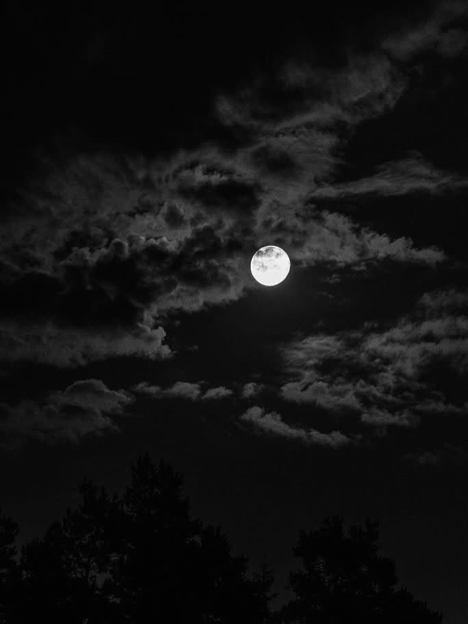 ☾DarkMoon★ページ MON on X: