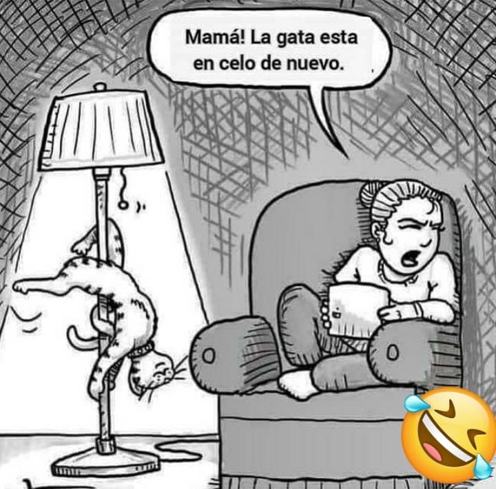 kosmicblack24's tweet image. 😹😹😹😹 😹😹😹😹😹