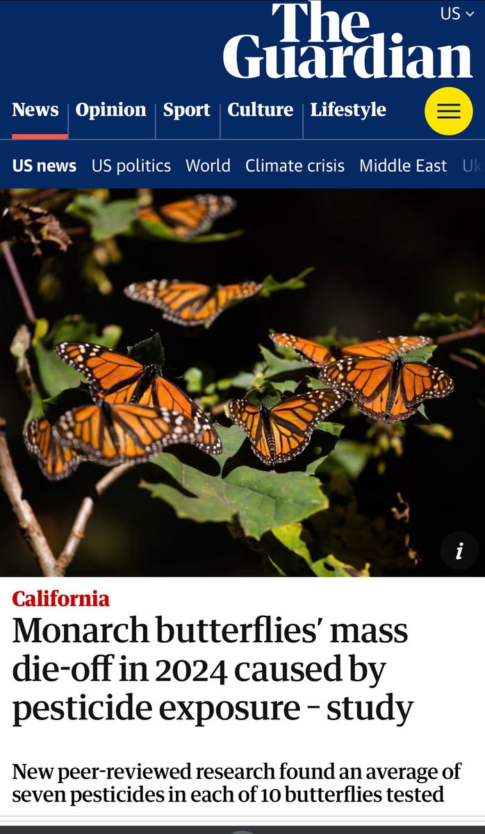 “Testing of 10 of the insects revealed an average of seven pesticides in each, and at levels that researchers suspect were lethal”