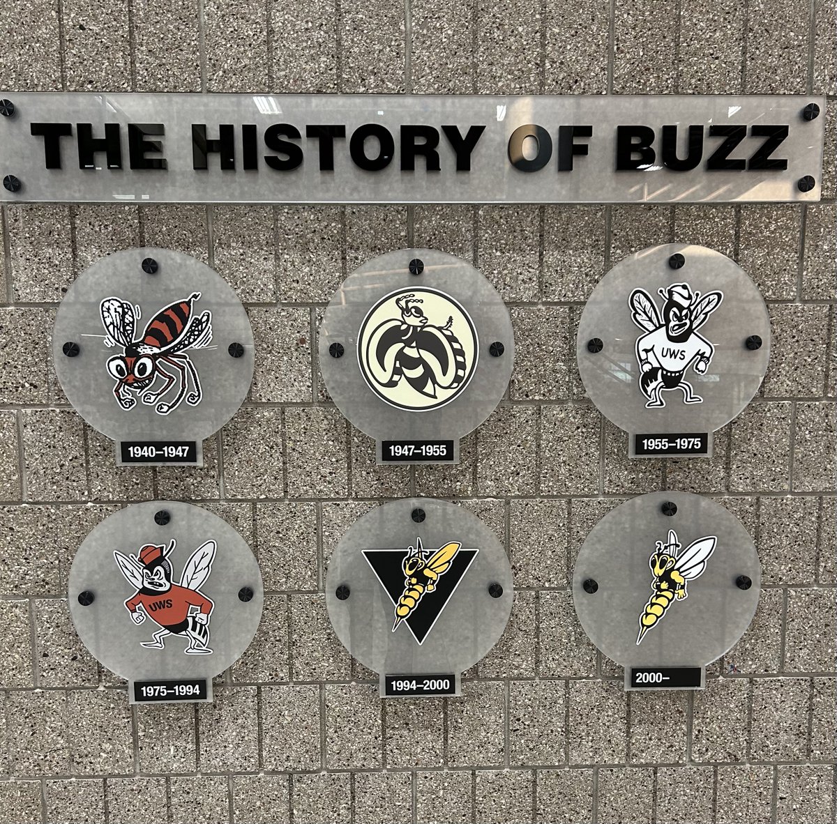 Over the past several years, we've been updating the branding throughout our facilities. The Marcovich Wellness Center now features a “History of Buzz” wall - a tribute to our past logos and evolving identity. I'm sure it will generate some conversations
