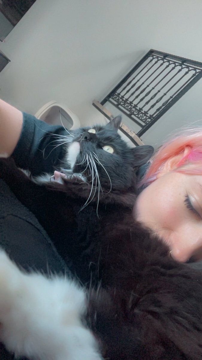 good afternoon 
from me &amp; ponyo.