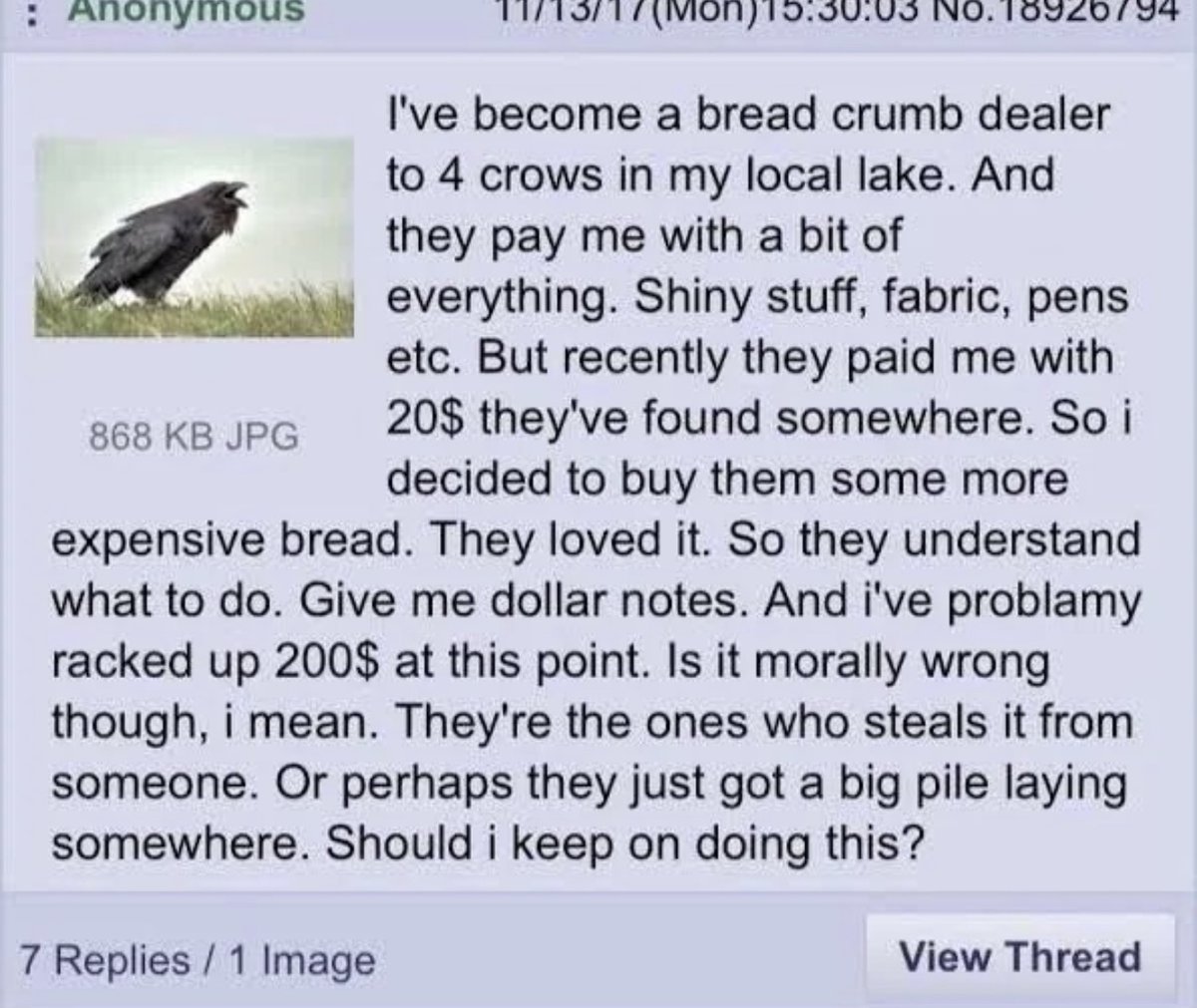 Bro found an infinite money glitch