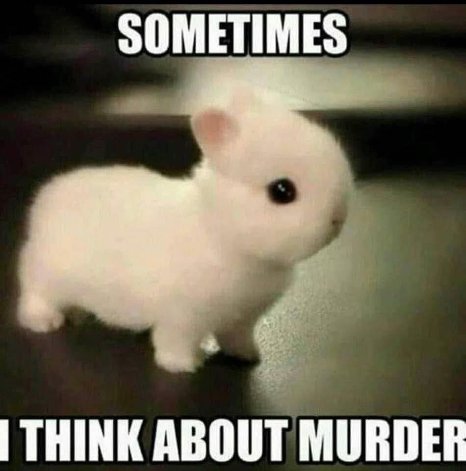 Fempath 🥀 (@fempath) on Twitter photo 