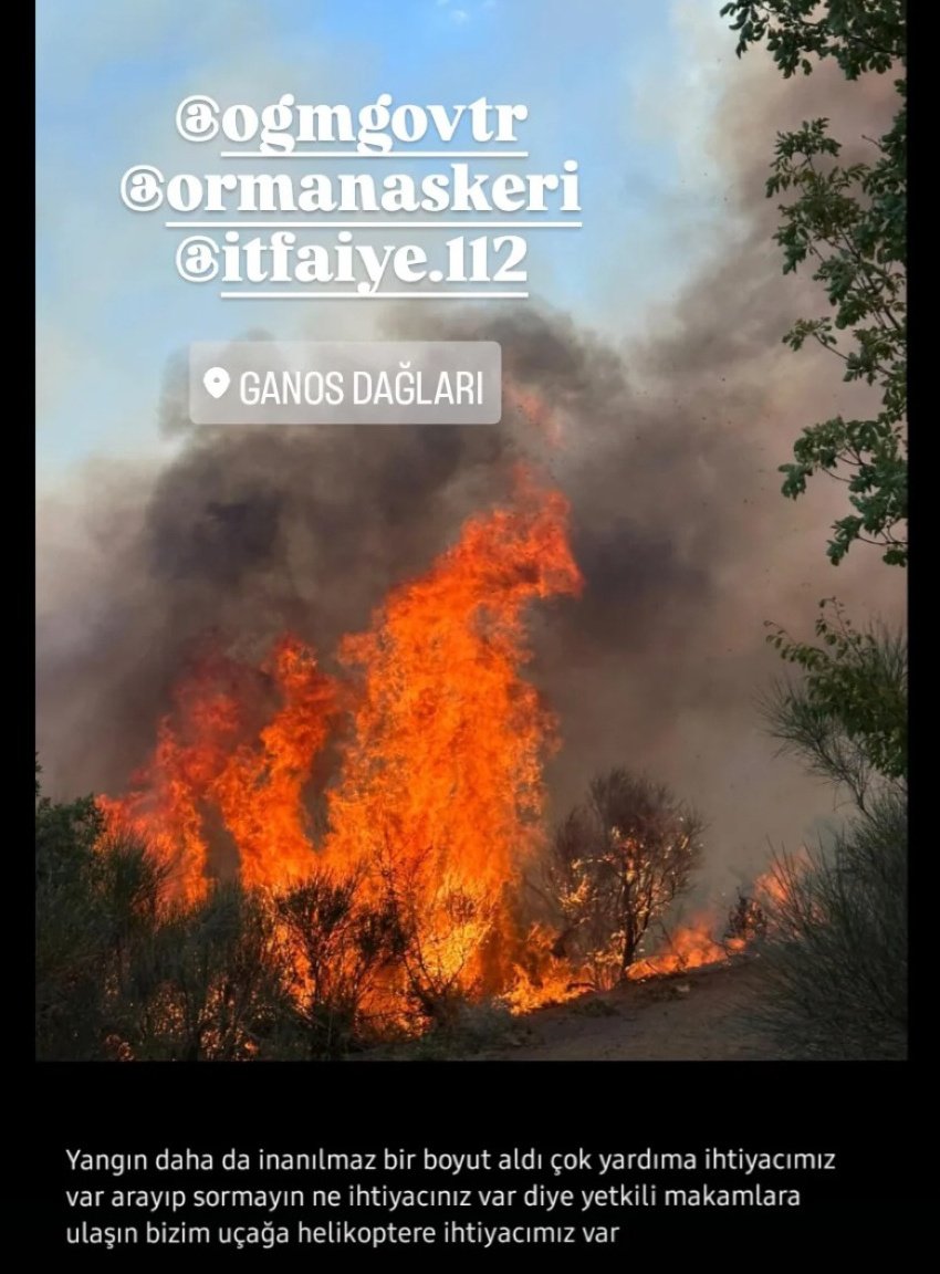 #BurakAlanTutuklansın

ACİL LÜTFEN PAYLAŞ
#SONDAKİKA #uçmakdere
#ucmakdereyanıyor
#tekirdağyanıyor
#şarköyyanıyor
#ormanyangını #uçmakdere
#şarköy #Tekirdağ #yangın
<a href="/BrcTvAjans/">Bircan Yıldırım</a> <a href="/bengokhantaskin/">GÖKHAN TAŞKIN</a>
<a href="/havacity_/">HavaCity</a> <a href="/HavaForum/">Hava Forum</a>  <a href="/darkwebhaber/">DarkWeb Haber</a> <a href="/pusholder/">Pusholder</a> <a href="/TCTarim/">T.C. Tarım ve Orman Bakanlığı</a> <a href="/kuzeyormanlari/">Kuzey Ormanları Savunması</a> <a href="/OGMgovtr/">Orman Genel Müdürlüğü</a>