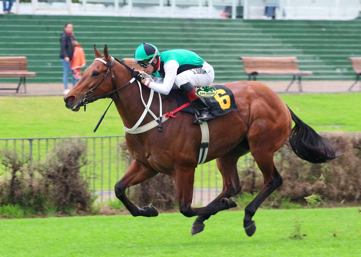 ✅ En el #HipódromoSanIsidro se disputó el #ClásicoPropietarios (L - 1000m), donde se impuso #LindoTonoPass (3 años, Distinctiv Passion), del #StudTriniYEmi, entrenado por #EmilianoJuarez y dirigido por #GonzaloBorda.
