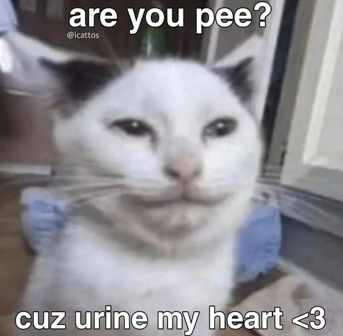 DrBoumBoom32 (@drboom32) on Twitter photo 