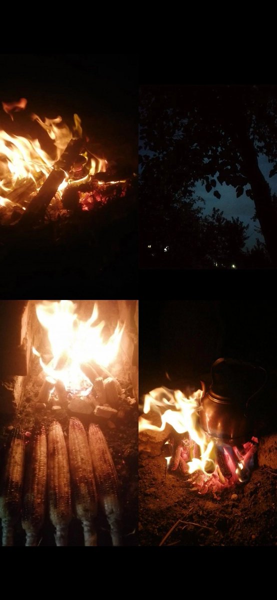 شوى الدرة vibes 😂❤