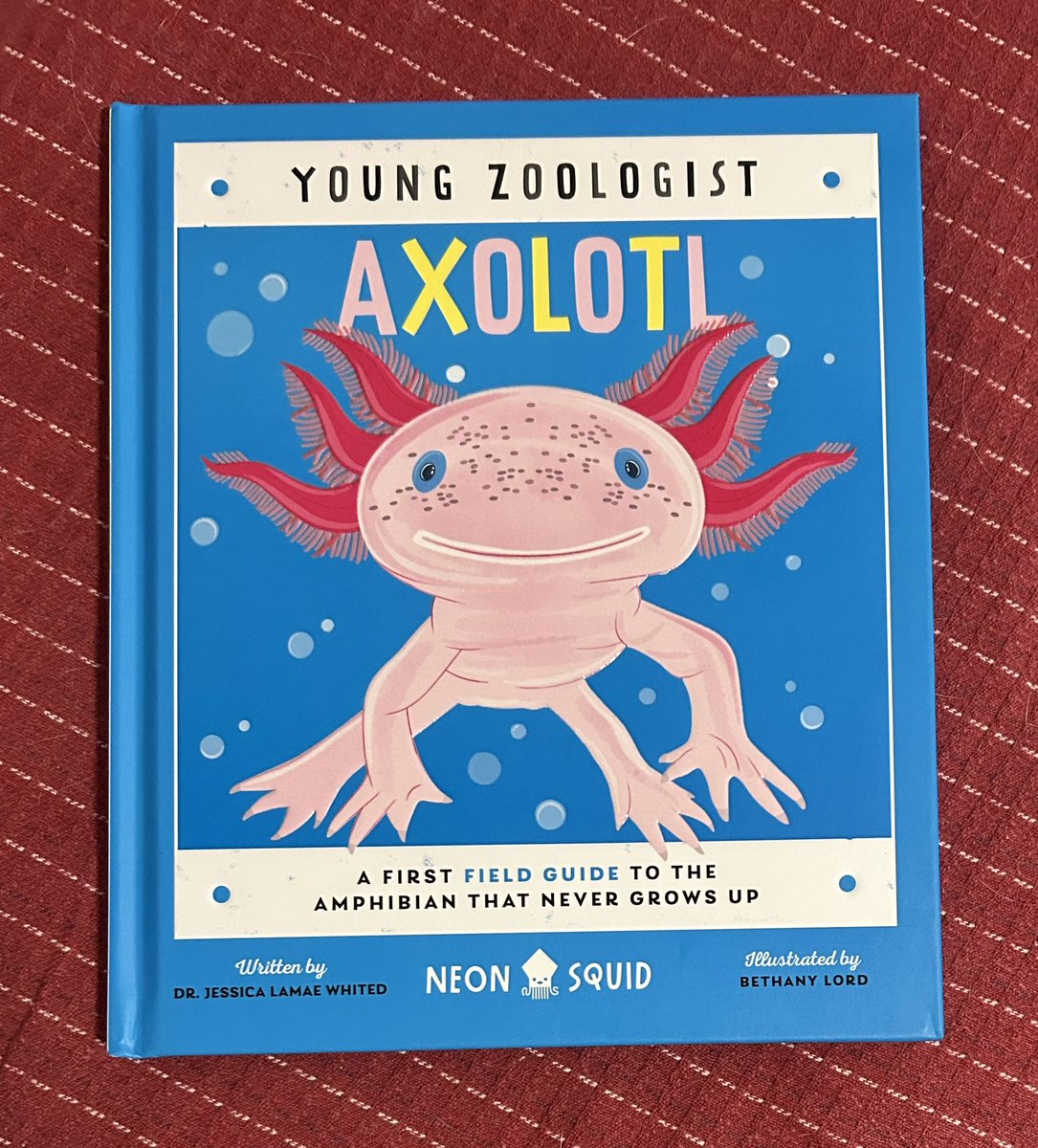 I like this series, lack of photos is disheartening, especially for this animal rarely seen in the wild or zoos/aquariums. Illustrations are so cute, it would be nice to see a photo to compare  how cute it really is. <a href="/JessLaMae/">Jessica Whited</a> <a href="/LordABethany/">Bethany ♡</a> <a href="/DISD_Libraries/">Dallas ISD Libraries</a> #NFfriday #bookaday