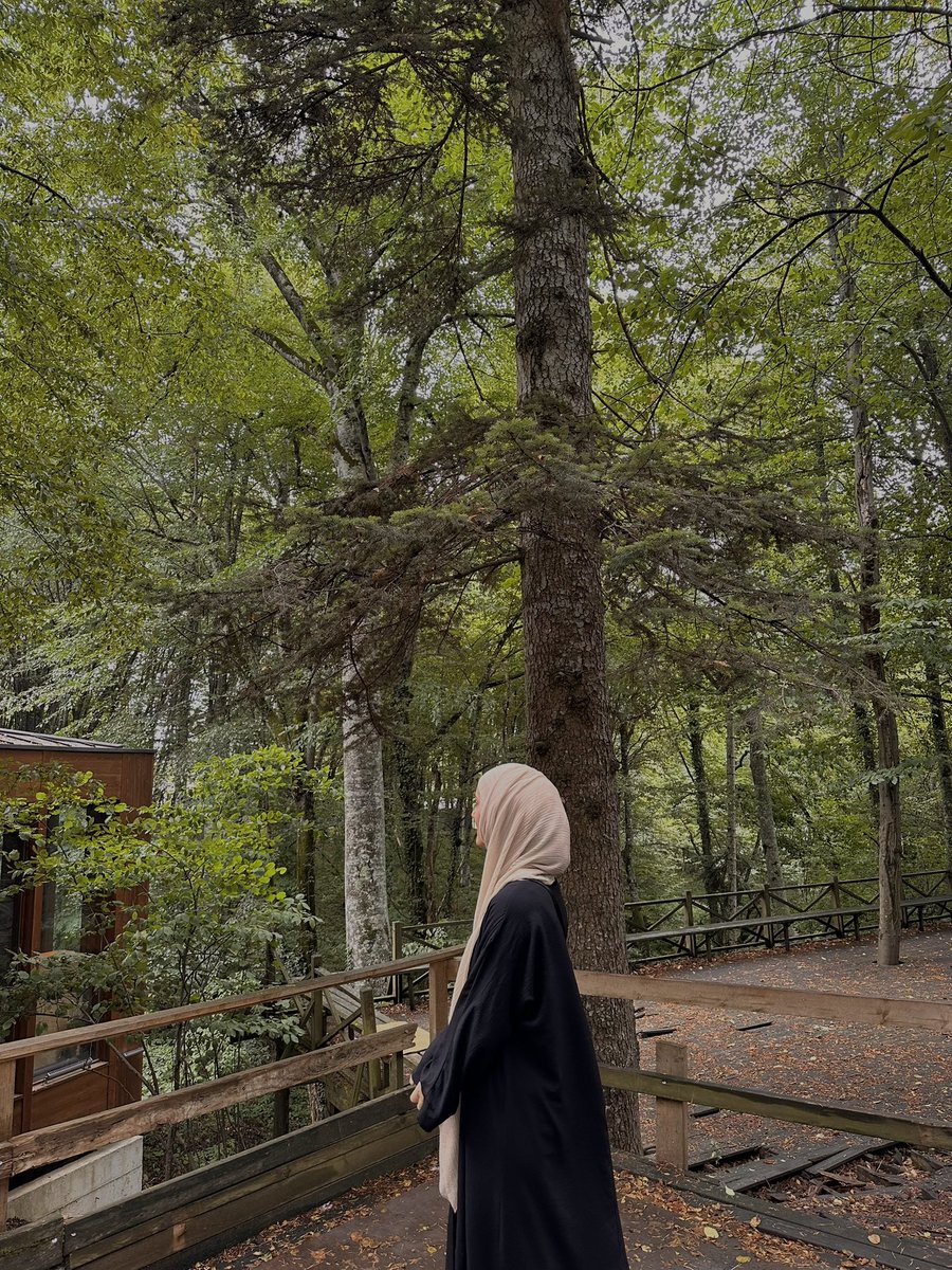 rukleeeee's tweet photo. yeşile açılan bir mescid🍃🌳🌲 https://t.co/x5ChRtjvoH