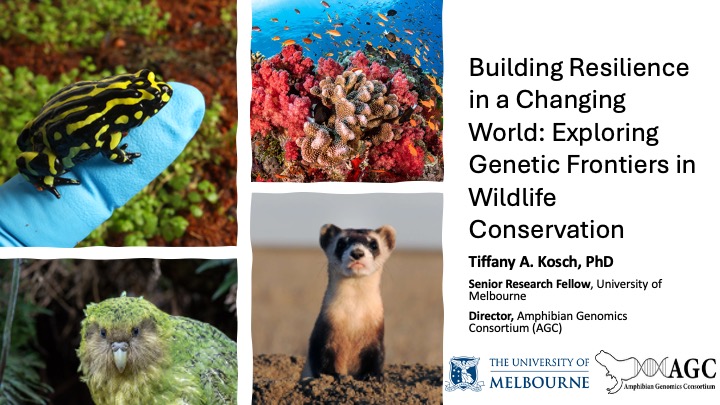 Today, I am grateful to have been invited to present at my first Society for the Study of Reproduction conference in Washington, D.C. 😁🐸🧬 <a href="/SSRepro/">SSR</a> #SSR2025
