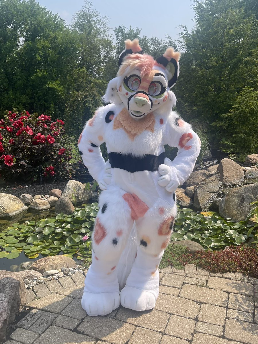 misosnep's tweet photo. my mom took the cutest pics of me for my first #FursuitFriday 🤍🤍

🪡: @ThePhoenixNest_ https://t.co/AjZvdi6EgE