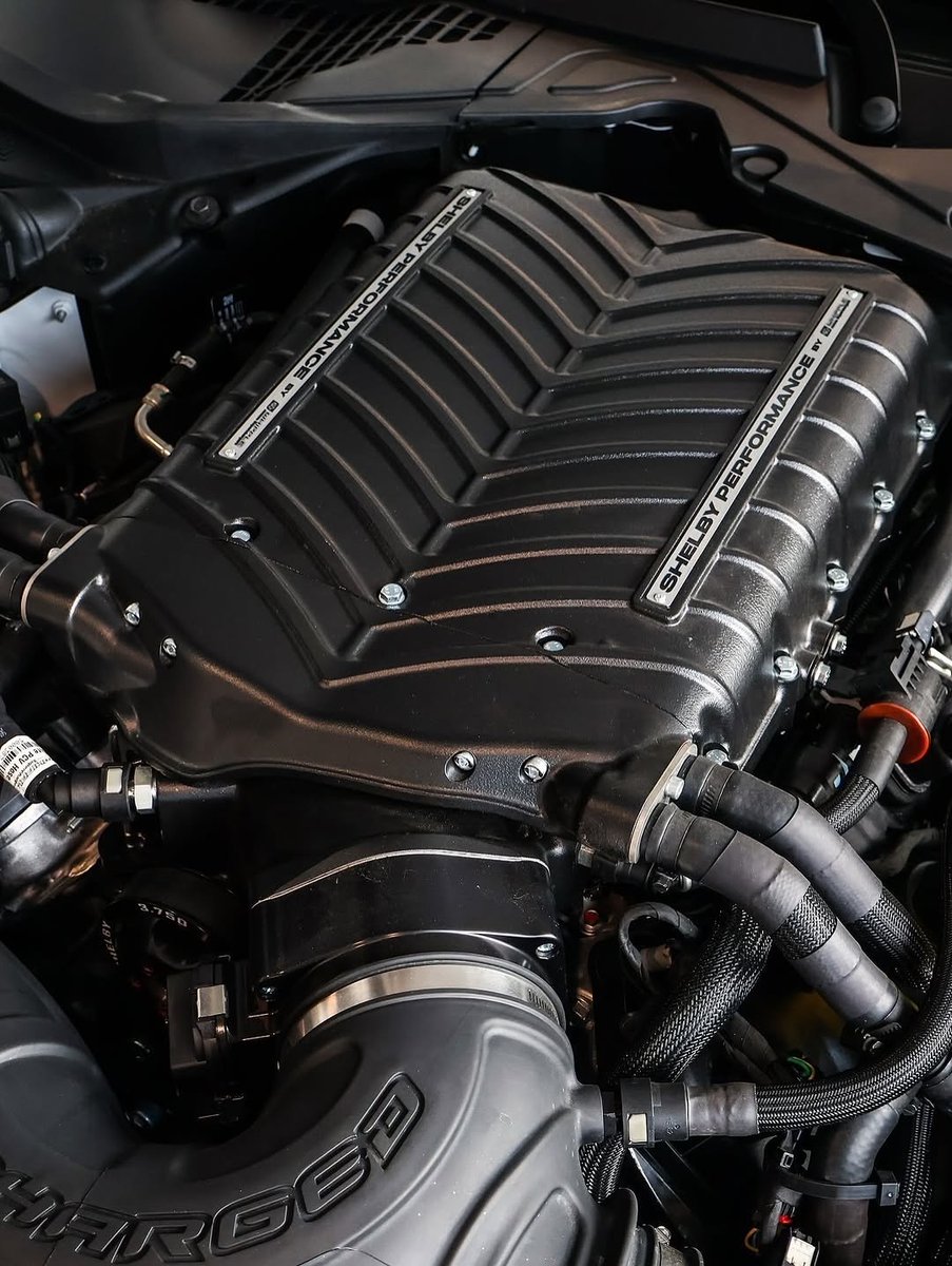 HellyPro185241's tweet image. HOT OR NOT ?!! 🔥😍\n@motorcarlease \n\n#Ford #Mustang #Shelby #supersnake #supersnakespeedster #Mustanglife #Shelbysupersnake #Shelbyperformance #Mustangs #worldofmustangs