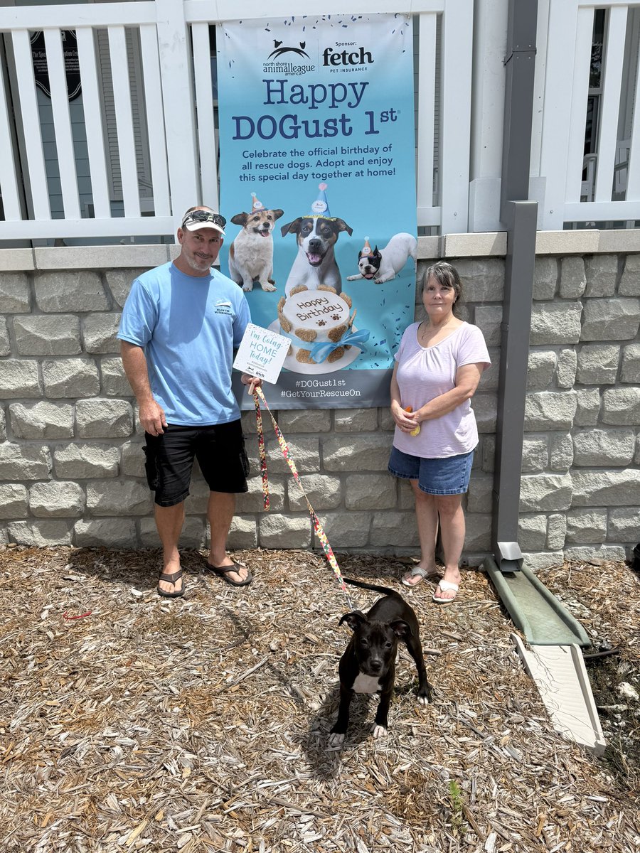 Humane Society of Pinellas tweet media