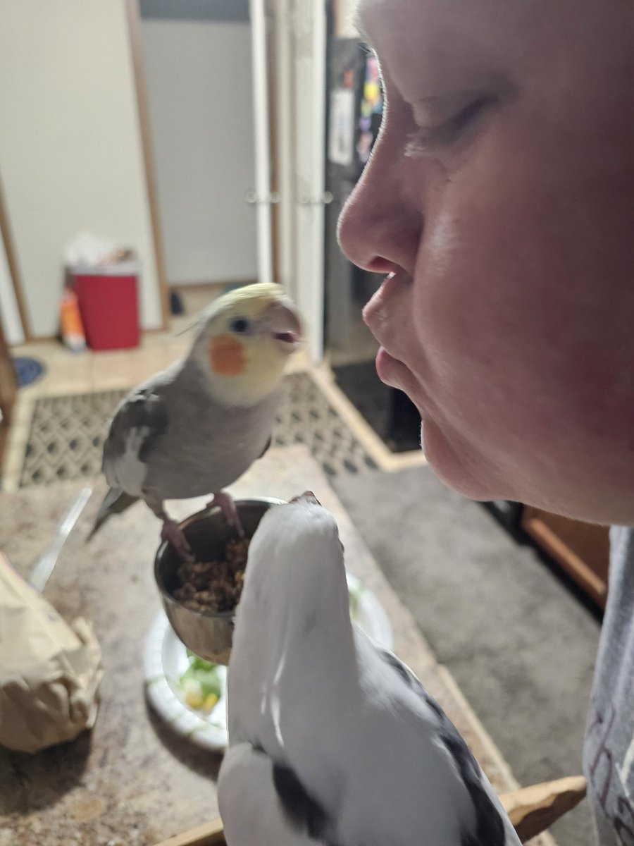 I love some bird kisses.