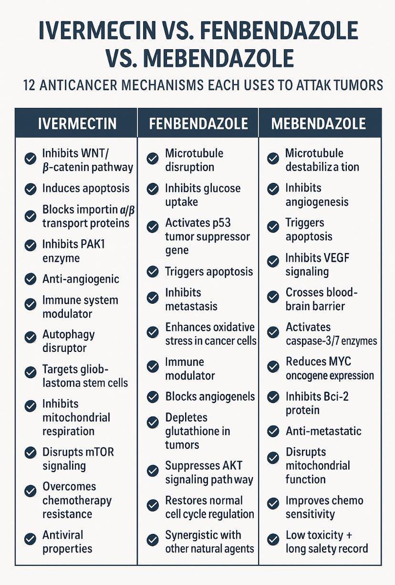 Ivermectin Vs. Fenbendazole Vs. Mebendazole

<a href="/_GetIvermectin_/">Ivermectin For Sale</a> 

1. Ivermectin  
What it is: An FDA-approved antiparasitic drug for human use.  

Cancer Interest:  
- Disrupts cancer cell signaling (e.g., WNT/β-catenin, mTOR pathways).  
- May inhibit tumor growth and promote