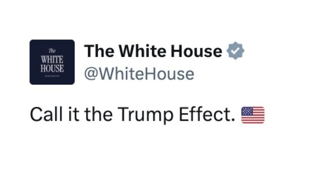 BOLD Democrats (@bolddems) on Twitter photo 