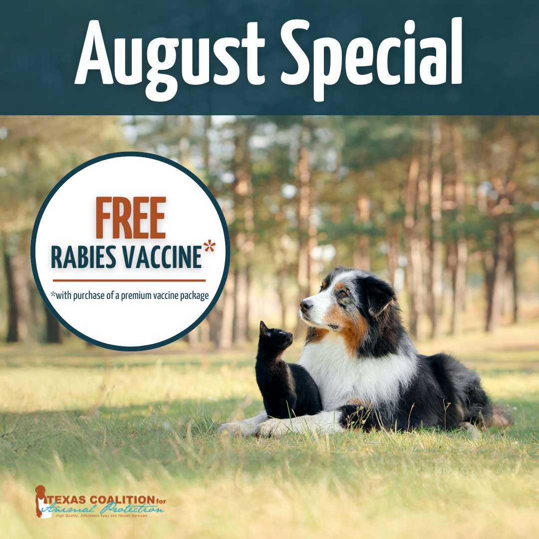 TCforAP's tweet image. For the month of August, TCAP is offering Free Rabies vaccines when you purchase a premium vaccine package at the time of your visit!!🐾💉

Specials: ow.ly/oL3n50WuGxL

#TexasForThem #NeuterIsCuter #TCAPSpayNeuter #DFWSpayNeuter #LowCostPetCareDFW #DallasPetWellness