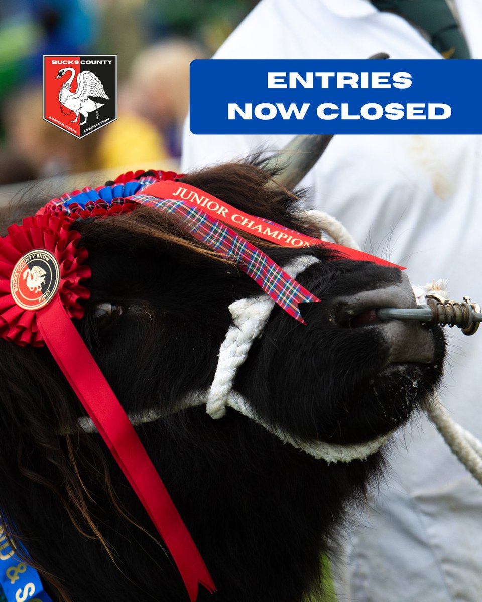 Bucks County Show tweet media